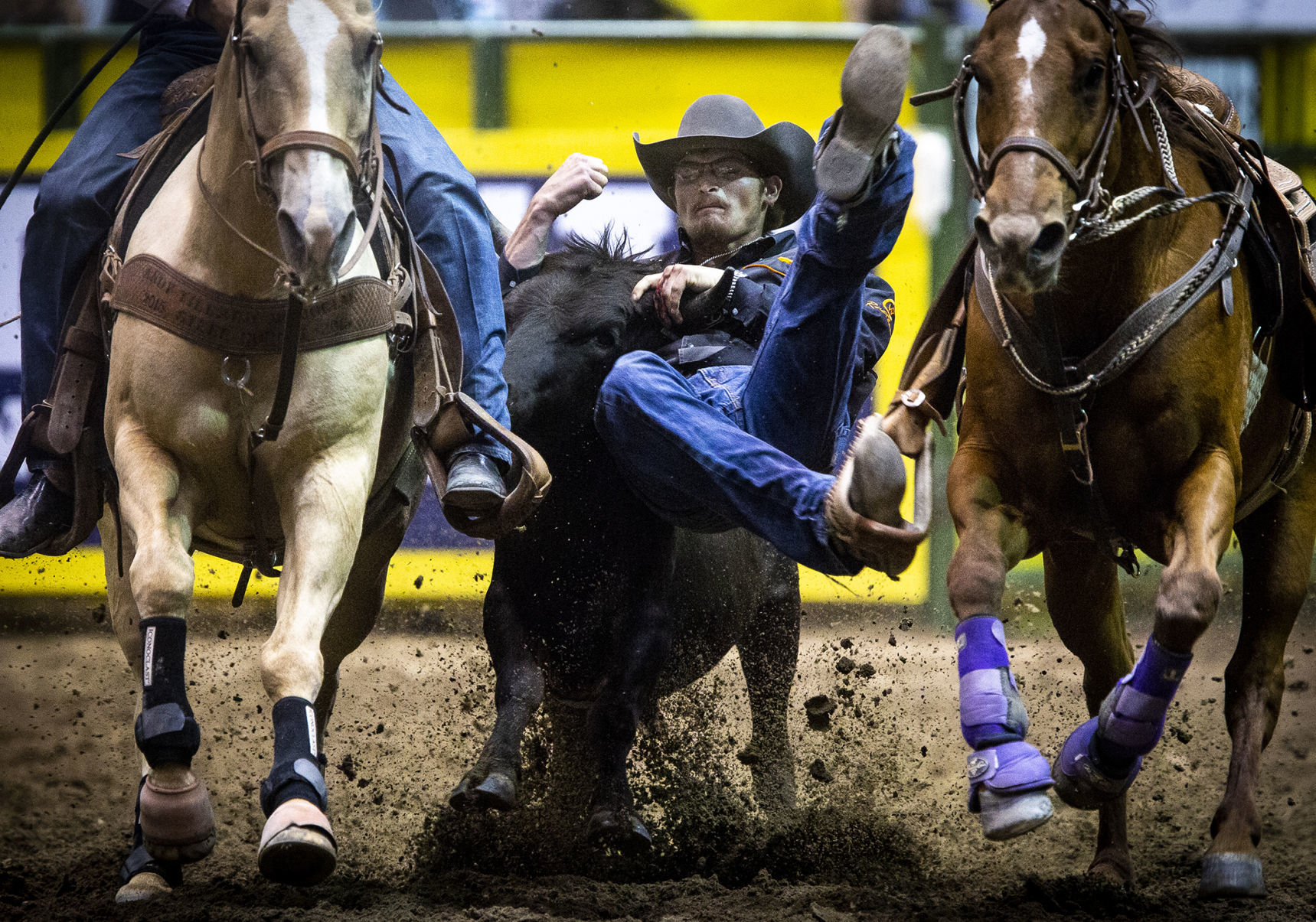 CNFR Wednesday